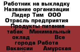 Работник на выкладку › Название организации ­ Лидер Тим, ООО › Отрасль предприятия ­ Продукты питания, табак › Минимальный оклад ­ 29 700 - Все города Работа » Вакансии   . Амурская обл.,Благовещенск г.